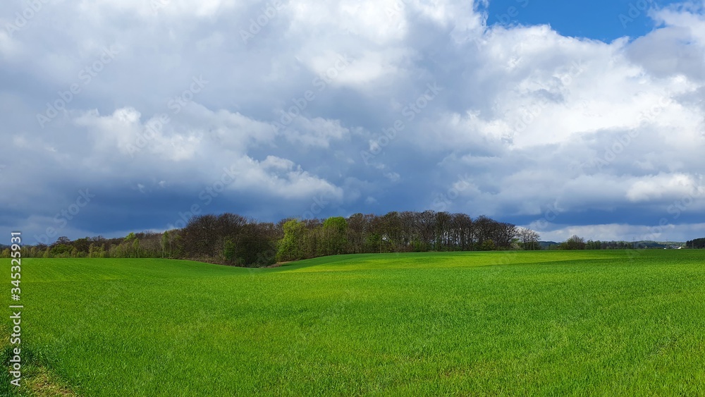 Landscape of Polish green fields and clouds in the sky
