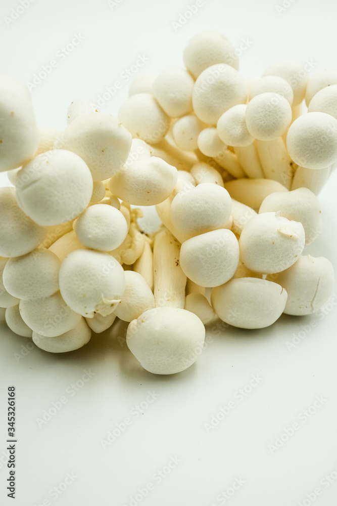 White Bunashimeji Mushroom or Hypsizygus tessellatus, shots on isolated white background.