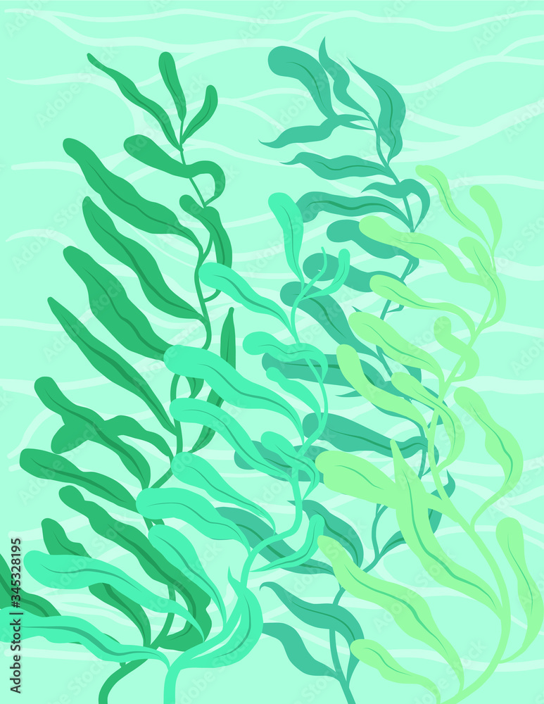 Sea weeds underwater
