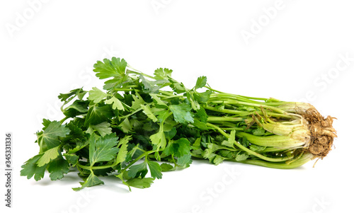 Close up view of bunch of fresh green parsley with roots