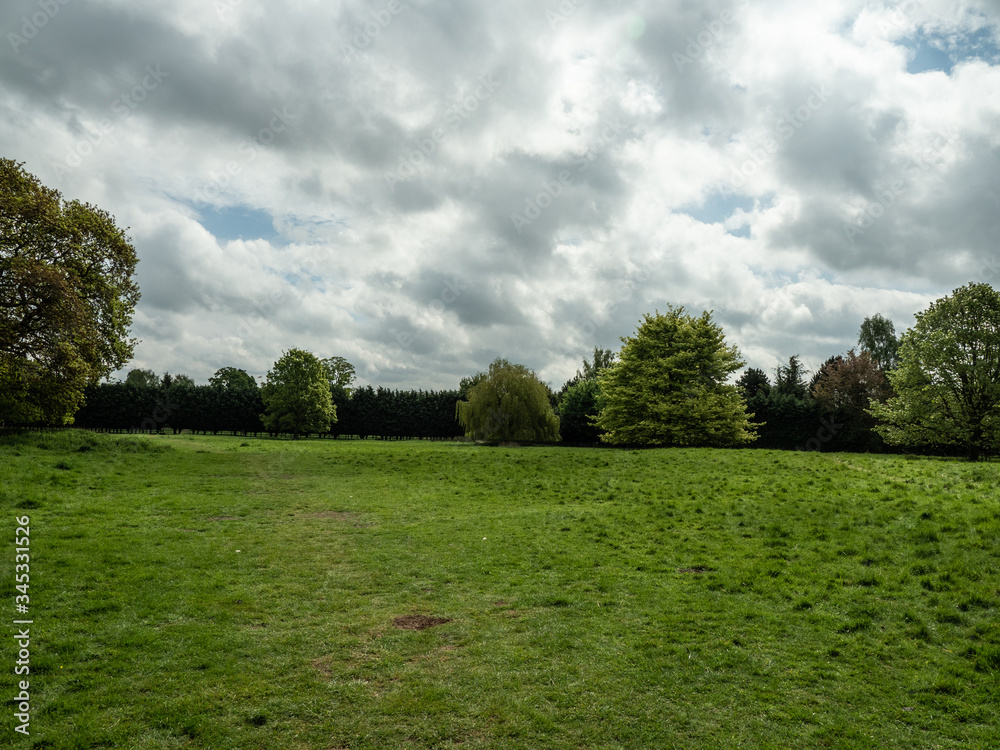 Fototapeta premium SHEEP FIELD NO SHEEP