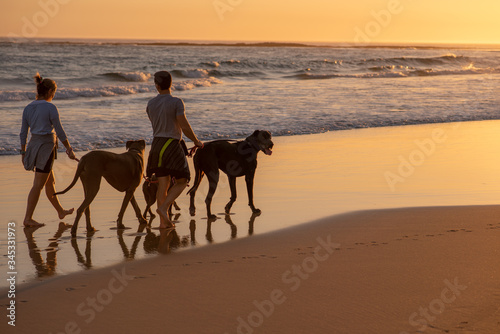 Couple taking their great dane for a walk on beach