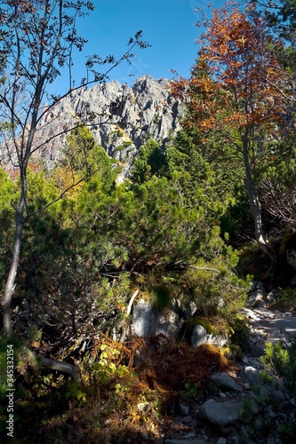 Alpine tourism through the Little Cold Valley. Tourist path to Tery's cottage 2 015 m.n.m with autumn colors. photo