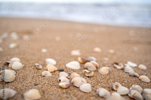 Sea wave running towards the coast from small shells in Skane, Sweden. Selective focus
