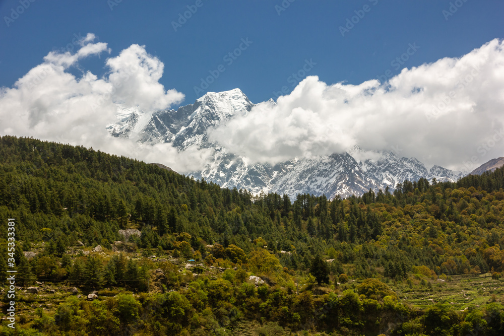 A Himalayan landscape with the snow covered Nilgiri North mountain towering over pristine, green alpine forests on the Annapurna Circuit in Nepal.