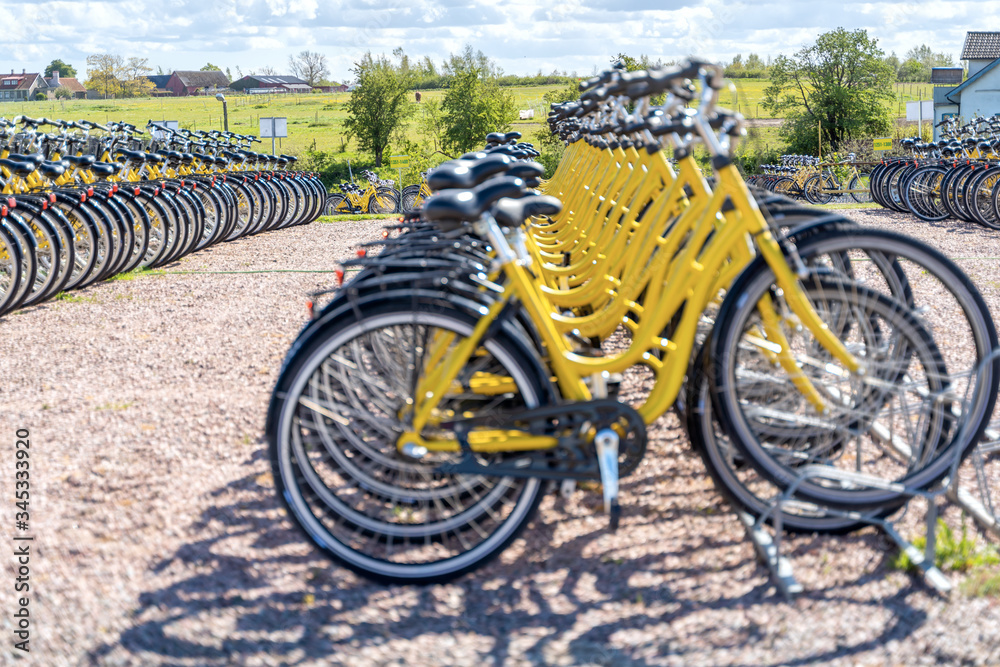 Row of bicycles parked. Yellow bicycles stand on a parking for rent.To save energy and environmentally friendly. Selective focus.