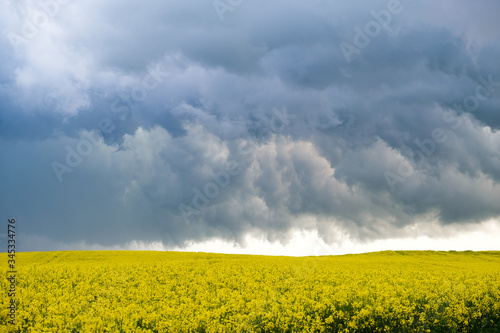 Fototapeta Naklejka Na Ścianę i Meble -  Landscape , Krajobrazy 2020