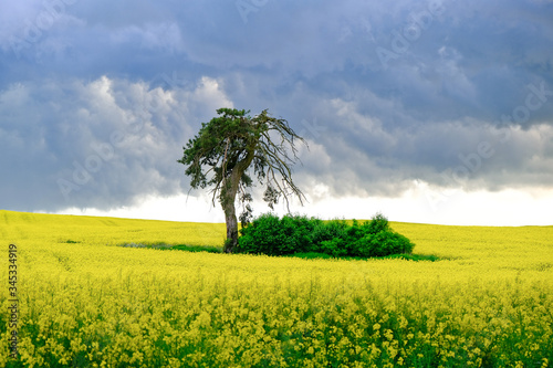 Fototapeta Naklejka Na Ścianę i Meble -  Landscape , Krajobrazy 2020