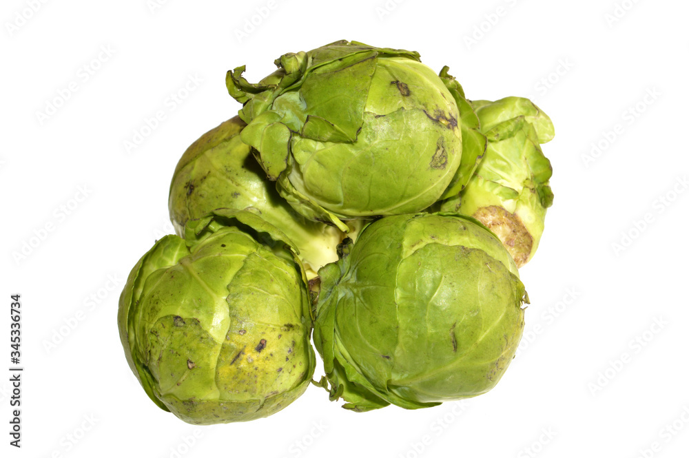 Fototapeta premium head of cabbage isolated on white background