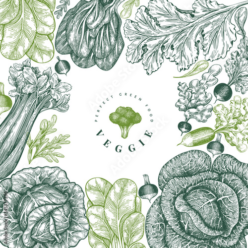 Hand drawn sketch vegetables design. Organic fresh food vector banner template. Retro vegetable background. Engraved style botanical illustrations.