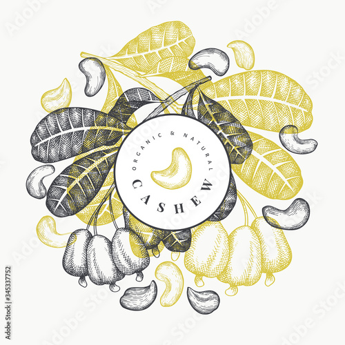 Hand drawn sketch cashew design template. Organic food vector illustration on white background. Vintage nut illustration. Engraved style botanical background.