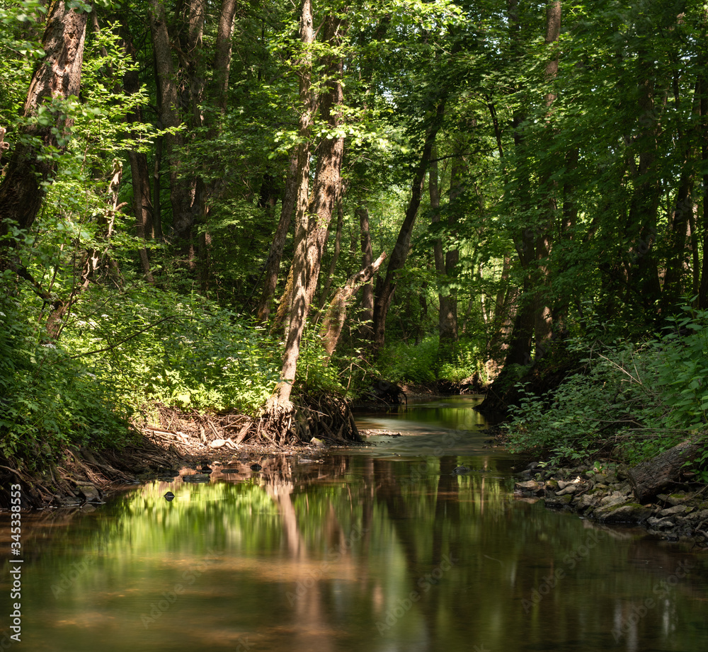Russia, Moscow region, forest stream. Long exposure. Russia, Moscow region, forest stream. Long exposure.