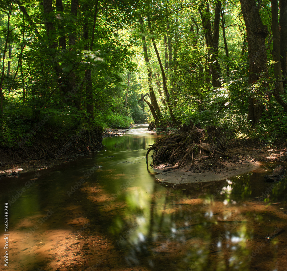 Russia, Moscow region, forest stream. Long exposure. Russia, Moscow region, forest stream. Long exposure.