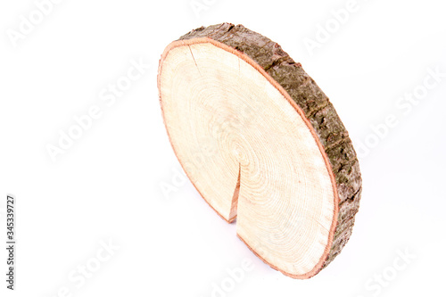 Slice of fresh oak wood on a white background 