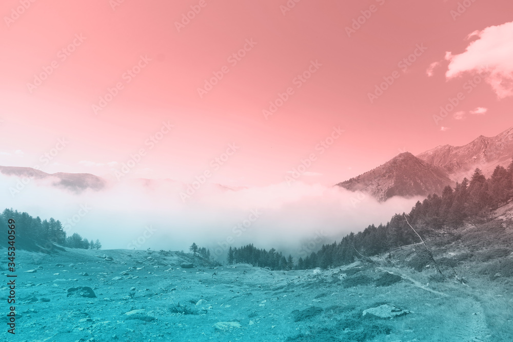 wide pink and teal cloudy mountain background forest 