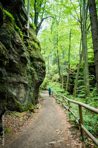 hiking in the woods