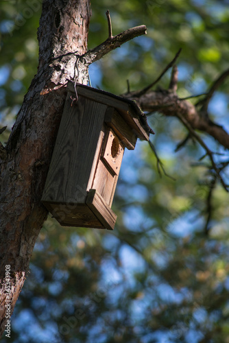 A closer look at a bird house on a tree.