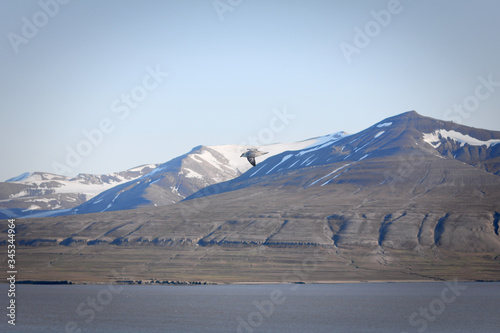 Mountains in spitsbergen