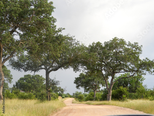 Dirt road in the Kruger National Park in South Africa