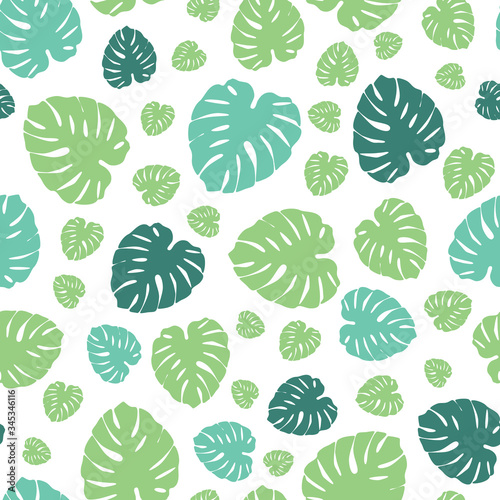 Cheese plant  monstera leaf print. Tropical vector pattern  background.