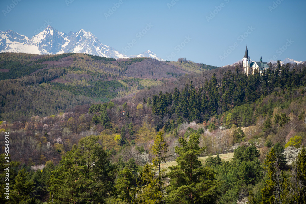 Fototapeta premium Basilica of the Visitation of the Blessed Virgin Mary in Levoca, peaks of High Tatras in background, Slovakia