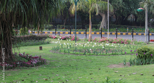 Spring flowers at a traffic circle in New Delhi  India