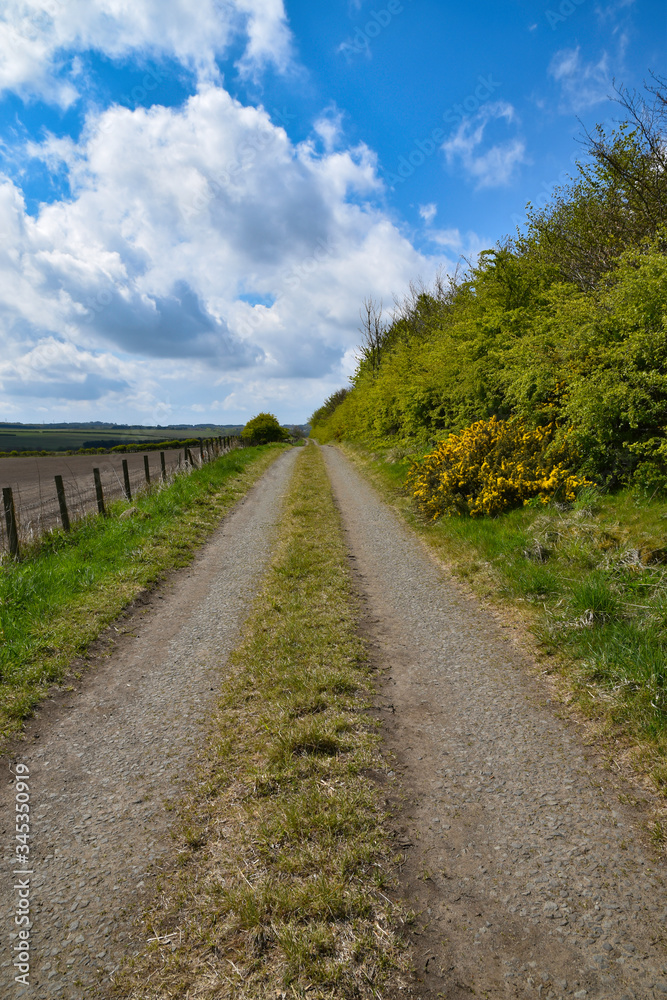 Country lane with grass growing in the middle. Lane narrows towards horizon. Rural scenery. Blue sky and clouds.