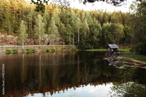 Fototapeta Naklejka Na Ścianę i Meble -  lake with a small house near the road on a background of forest