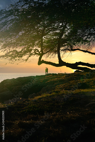 Bold sunsets off the leeward side of Oahu. A rocky sore with twisted trees. A tropical serene scene. photo