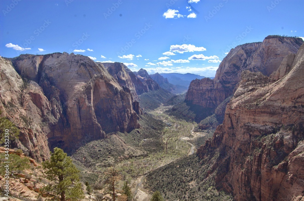 Fototapeta premium Zion National Park