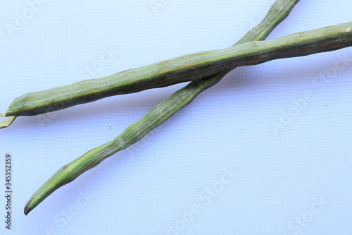 Drumstick Pods or Moringa Oleifera Poss Vegetable Isolated on White Background  