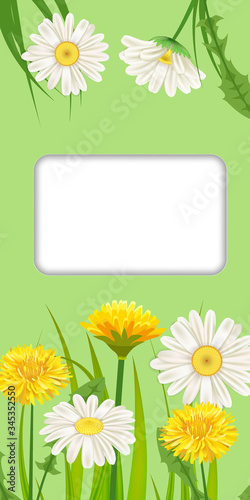 Spring card of floral flowers dandelions and daisies, chamomiles, grass background