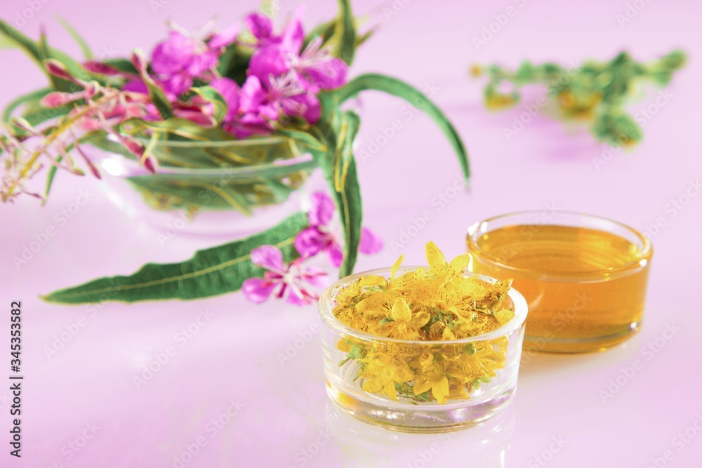 Beautiful composition of fresh herbs and flowers and honey on pink background