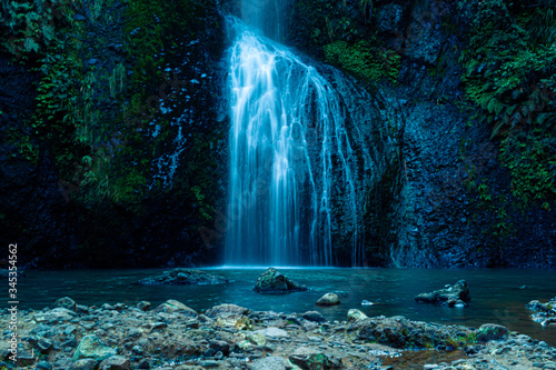 Fototapeta Naklejka Na Ścianę i Meble -  Kite Kite Falls, Neuseeland, Pahia, Waterfall