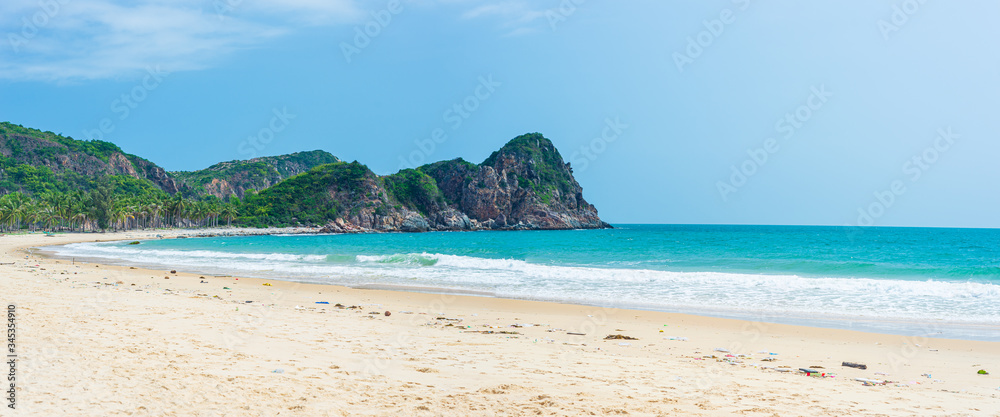 Secluded tropical beach turquoise transparent water palm trees, Bai Om undeveloped bay Quy Nhon Vietnam central coast travel destination, desert white sand beach no people clear blue sky