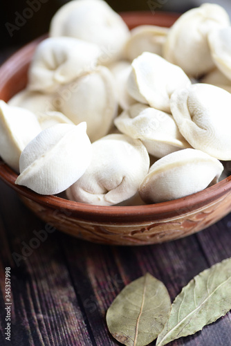 frozen dumplings with meat in a plate close-up