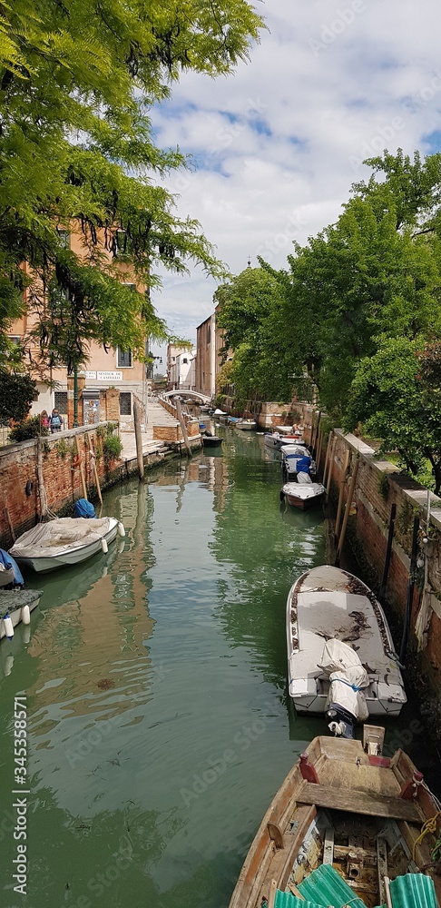 View of the canal in Venice. On the water there are boats, along the bank of the canal grow large trees. Vertical format.