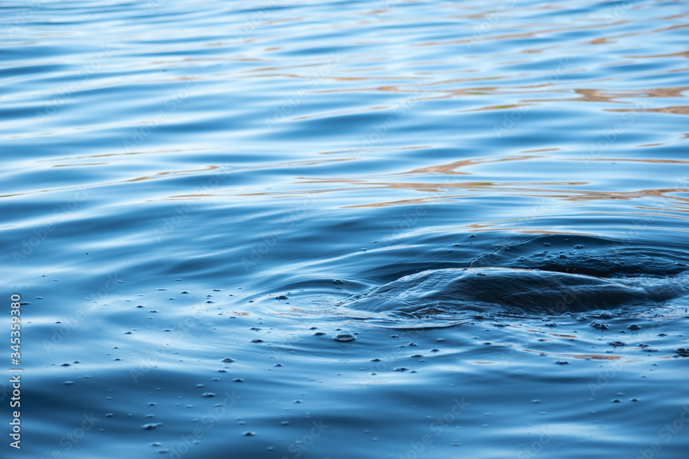 Gentle Waves Gentle Waves