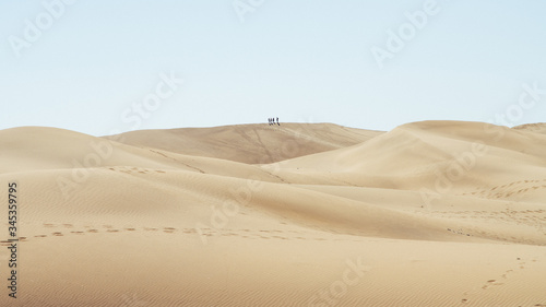 Dunes in summer in Canary Islands (Spain)