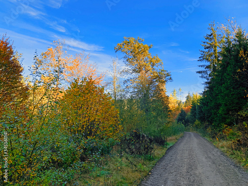 Waldstra  e im Herbst