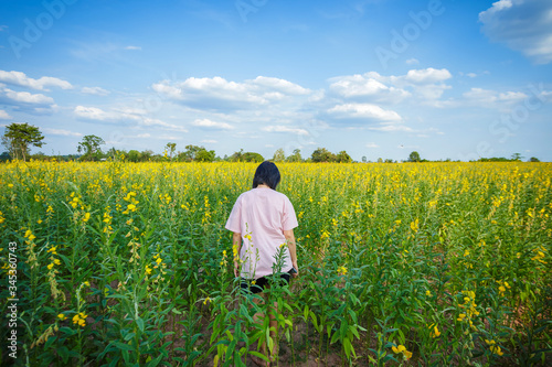 back view of young woman standing in hemp flowers field. © songphon