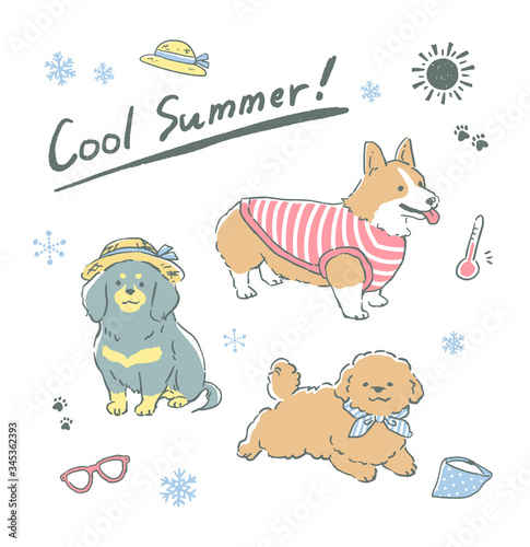 夏服の犬
