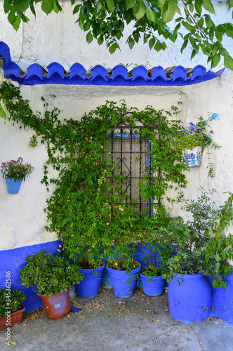 patio corner with blue pots in a plublic square in place in Granada. Andalusia. Spain photo