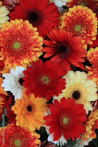 Colorful gerbera bouquet