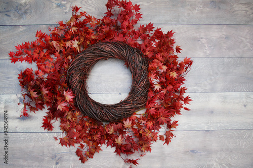 Bird Nest Fantasy Background Photo Prop with vine and red leaves Isolated on distressed wood.