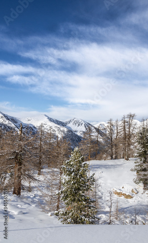 snow covered mountains