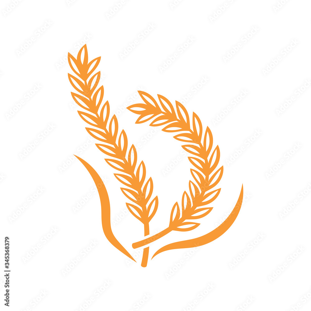 Fototapeta premium Agriculture wheat logo or symbol icon design illustration