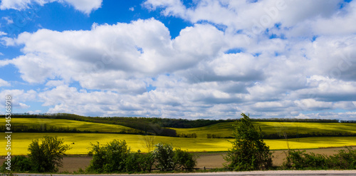 Rapeseed Fields in Hungarian Province