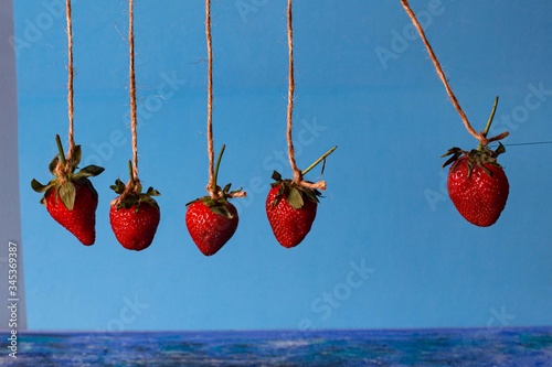 pendulum from berries of red strawberries on a blue background
