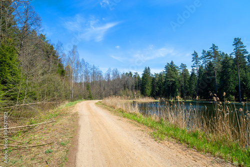 Landscape with a road and a lake in the forest.